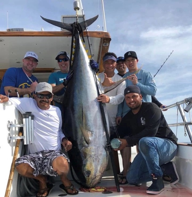 Massive 450 Pound Yellowfin Boated