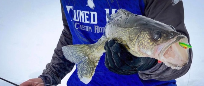 Mille Lacs Lake Walleye