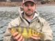 New West Virginia Record Yellow Perch