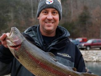 Missouri's Roaring River Produces A Trophy For Angler's Birthday