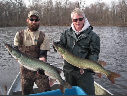 Muskie Fishing In Indiana  OutDoors Unlimited Media and Magazine