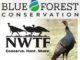 NWTF, BFC Sign MOU on Improving Forest Health