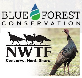 NWTF, BFC Sign MOU on Improving Forest Health