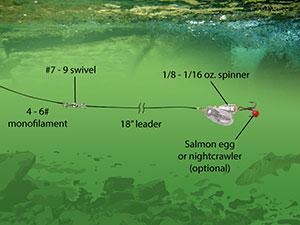 Fishing Tip: How To Fish For Trout