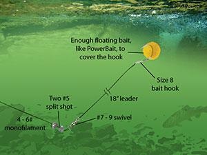 Fishing Tip: How To Fish For Trout