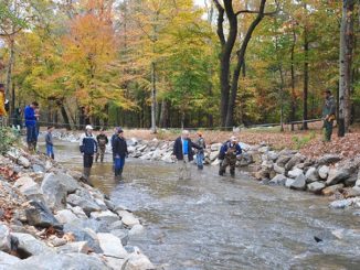 Virginia town partners with Randolph-Macon College to restore local stream