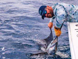 $500 Million Generated For Costa Rica By Sportfishing
