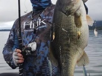 California's Clear Lake Produced A Giant During Pre-Fishing