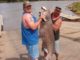Iowa DNR - Ice-out channel catfish are biting