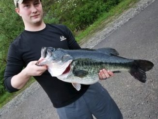 Kentucky Records A New Giant Largemouth