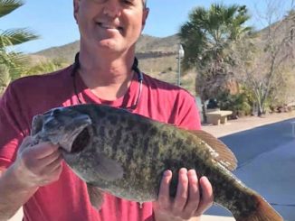 Lake Mohave Produces A Giant Smallie