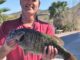 Lake Mohave Produces A Giant Smallie