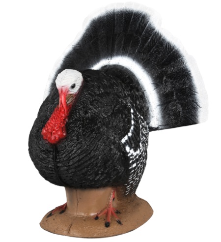 Strutter Turkey Target From Delta McKenzie