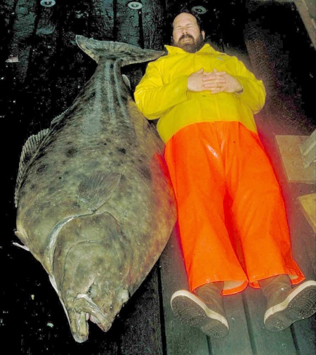 7 Reasons Why Size Matters for Halibut