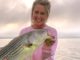 Kentucky Lake Cumberland Striped Bass Heating Up