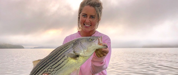 Kentucky Lake Cumberland Striped Bass Heating Up