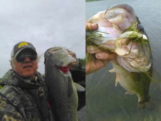 NFB Swim Bait definitely made a difference