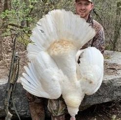 The Tennessean - Hunter Kills Bizarre Albino Turkey