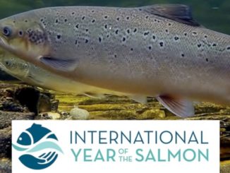 "Year of the Salmon" - NOAA