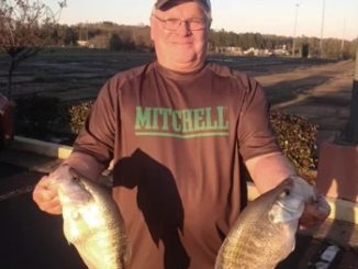 Mitchell Fishing Crappie Fishing Tips and Techniques