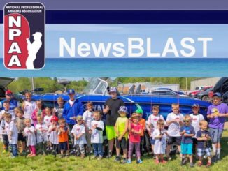 NPAA NewsBLAST - June 2019