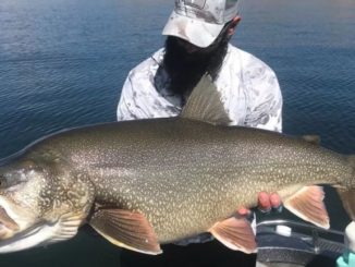 Record-Setting 48-inch Utah Trout