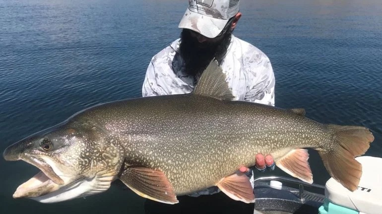 Record-Setting 48-inch Utah Trout