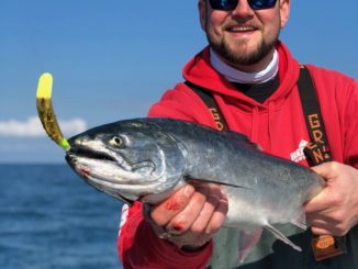 Use The Coyote Spoon For Saltwater Salmon