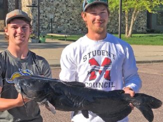 Flathead Catfish: The King of Freshwater Sport Fish? - MidWest Outdoors