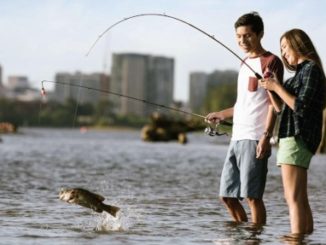 Urban Fishing: Bright lights, big fish.