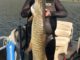 Utah Man Sets Spearfishing Record With 51-inch Tiger Muskellunge