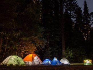 Camping 101 for the Whole Family