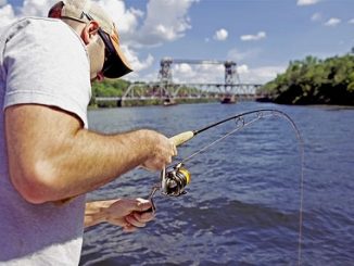 Catfish Fishing  OutDoors Unlimited Media and Magazine