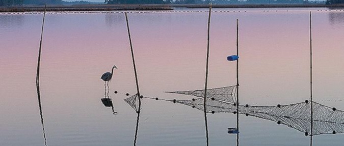 Chesapeake Bay's dead zone expected to be smaller this year