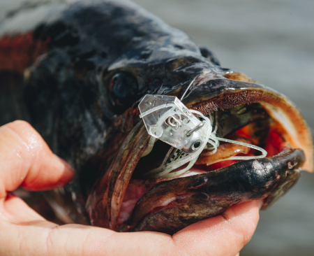 JackHammer 2.0’ Resonates with Selective Largemouths, Smallmouths 