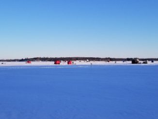 Ice Fish shanty