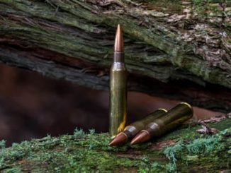 The Ammunition Almanac: A Beginner's Guide to Bullets