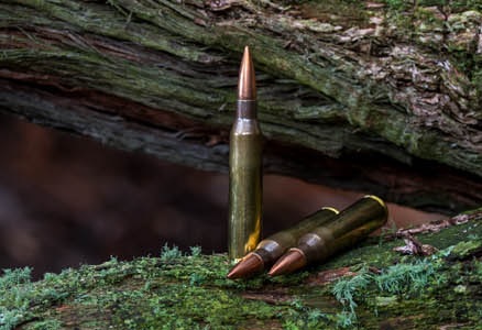 The Ammunition Almanac: A Beginner's Guide to Bullets