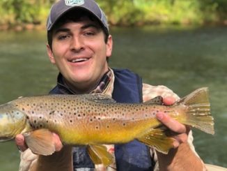 VIRGINIA: 8 Trout Stream Destinations to Try in 2021