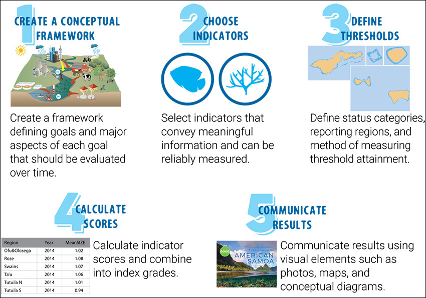 Status Reports - National Coral Reef Monitoring Program