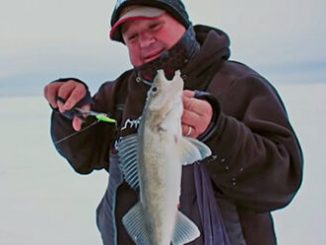 Catch cold-front walleyes on Lake of the Woods With Rapala