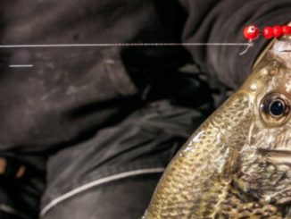 Late Ice Crappies - Where to Look
