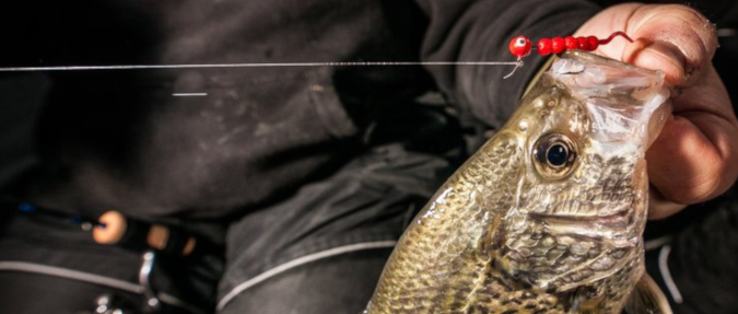 Late Ice Crappies - Where to Look