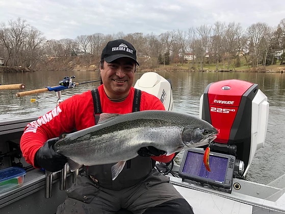 Winter Steelhead Can Be Caught With Back-Trolling Plugs