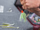 How to Choose the Best Spinnerbait for Bass, Every Time